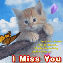 I Miss You GIF - I Miss You Miss You GIFs