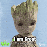 Gm Groot GIF - Gm Groot Good Morning GIFs