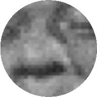 a black and white image of a circle with a gray border