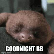 Goodnight Gnight GIF - Goodnight Gnight Bb GIFs