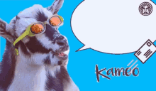 kameo creative kameo podcast kameo the goat podcast