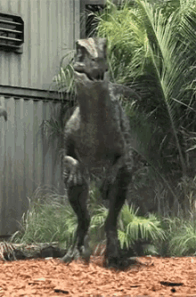 Jurassic Raptor GIF - Jurassic Raptor Scary GIFs