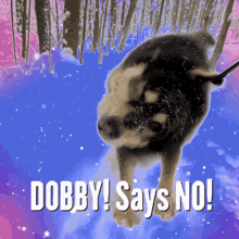 Dobby Dobby Says No GIF - Dobby Dobby Says No No GIFs