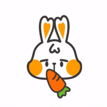 white rabbit carrot yumyum delicious