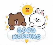 hey hello good morning good day bunny