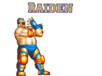 a pixel art of a wrestler with the name raiden behind him