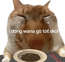 a cat is crying over a bowl of food with the words i dong wana go tot skol below it
