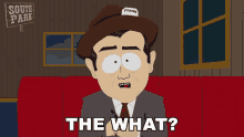 The What South Park GIF - The What South Park Huh GIFs