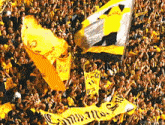 a crowd of people holding yellow flags and a banner that says ' germany '