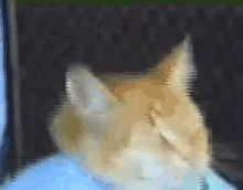 a blurry picture of a cat sleeping on a blue blanket .