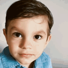a young boy wearing a blue shirt looks at the camera with a serious look on his face