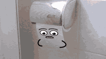 Toilet Paper GIF