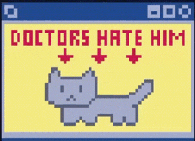 Smiling Friends Doctors Hate Him GIF - Smiling Friends Doctors Hate Him Cat Hate GIFs