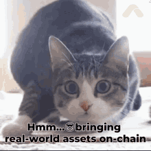 Aconomy Real World Assets GIF - Aconomy Real World Assets Defi GIFs