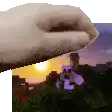 a pixel art of a cat 's paw reaching out towards a sunset