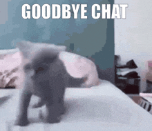 Kitty Cat GIF - Kitty Cat Goodbye Chat GIFs
