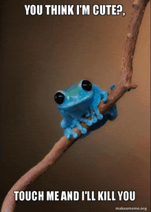 Blue Frog GIF - Blue Frog Meme GIFs