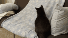 Cat Blackcat GIF - Cat Blackcat Jumping GIFs