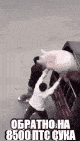 a man is carrying a pig on his back in a truck .