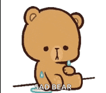 so sad bear tearful