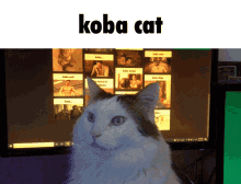 Koba Keeb GIF - Koba Keeb Keebler GIFs