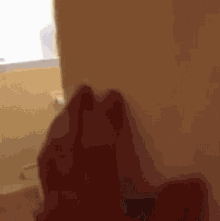 a blurred image of a person 's hand in a bathroom