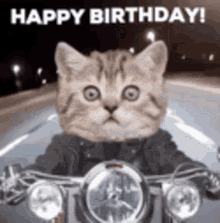 Happy Birthday Cat GIF - Happy Birthday Cat Motorcycling GIFs