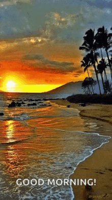 beach ocean sunset sunrise