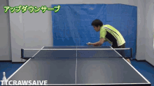 Table Tennis Ping Pong GIF - Table Tennis Ping Pong Takkyuu Geinin GIFs