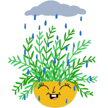 flora friends plant raining happy refreshed