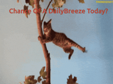 Daily Breeze GIF - Daily Breeze GIFs