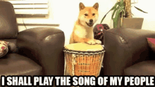 Doge Song Of My People GIF - Doge Song Of My People Cute GIFs