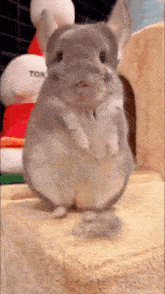 GIF