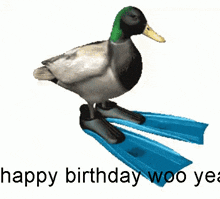Happy Birthday Duck GIF - Happy Birthday Duck Duck Spinning GIFs