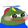 a frog wearing a hat with a helicopter on it .
