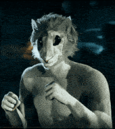 a man with a lion mask on his head