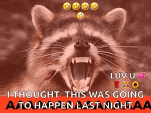 a picture of a raccoon with its mouth open and the words i thought this was going a to happen last night aa