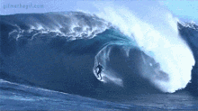 Ride The Blue Wave Surf GIF - Ride The Blue Wave Surf Ocean GIFs
