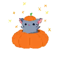 a pixel art drawing of a cat sitting inside of a pumpkin