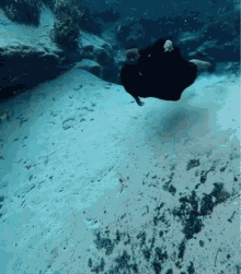 a person is swimming in the ocean with a black shirt on