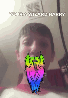 Harry Potter Youre A Wizard GIF - Harry Potter Youre A Wizard GIFs