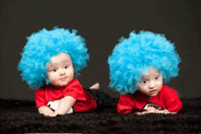 two babies wearing blue wigs and red shirts