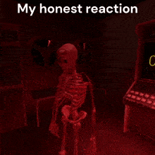 My Honest Reaction Scp Sl GIF - My Honest Reaction Scp Sl Scp 3114 GIFs