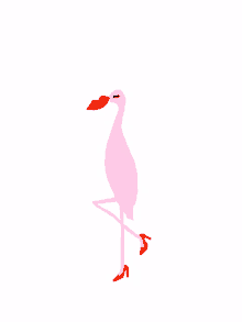 theebouffants kendra dandy flamingo heart love