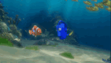 Let'S Go GIF - Finding Nemo Dory Marlin GIFs