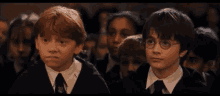 Ron Weasley Harry Potter GIF - Ron Weasley Harry Potter Rupert Grint GIFs