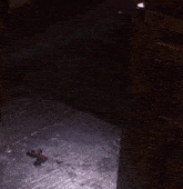 a piece of wood is laying on the floor in a dark room next to a bathtub .