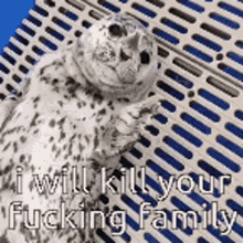 Seal Kill Your Family GIF - Seal Kill Your Family Kill GIFs