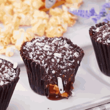 a cupcake with a bite taken out of it sits on a white plate