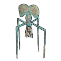 a drawing of a squid with long legs and a large head